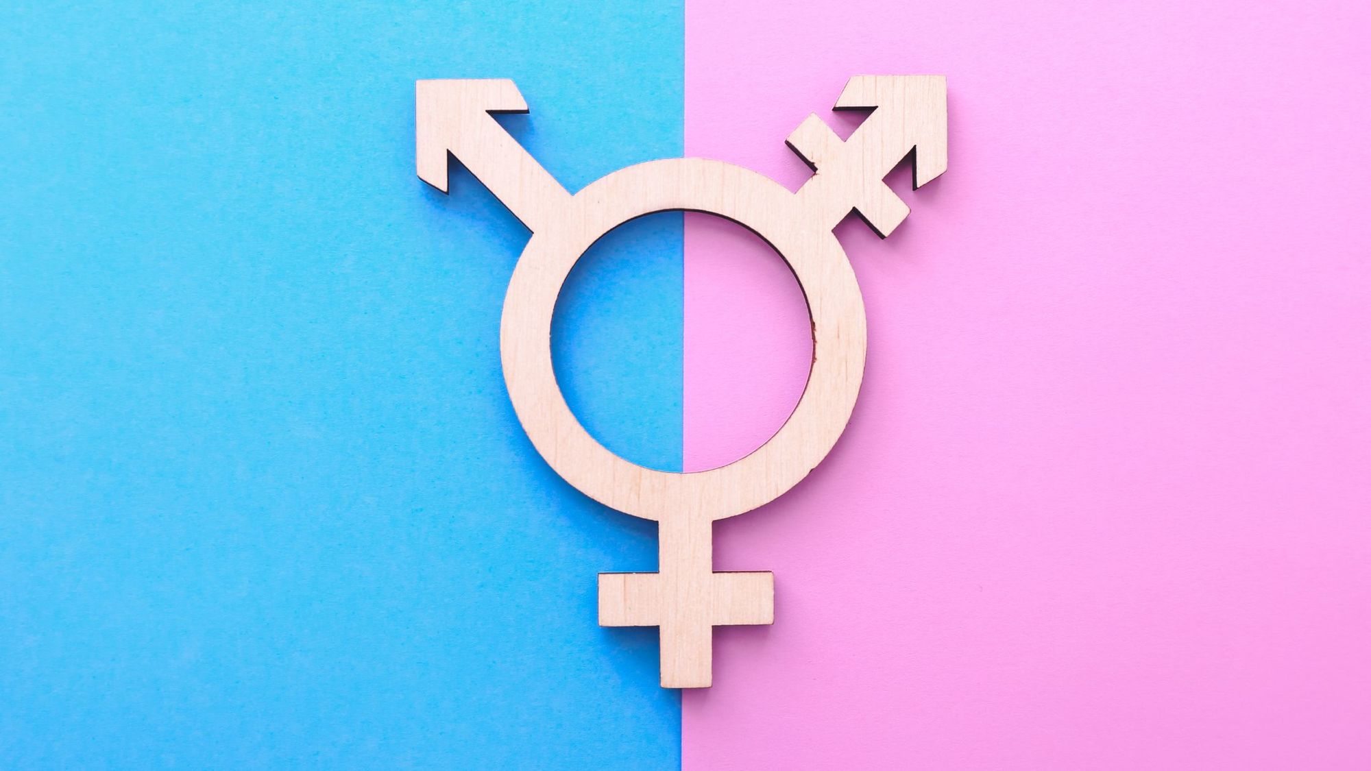 Gender Roles in Society: Gender Stereotypes and How to Fight Against Them