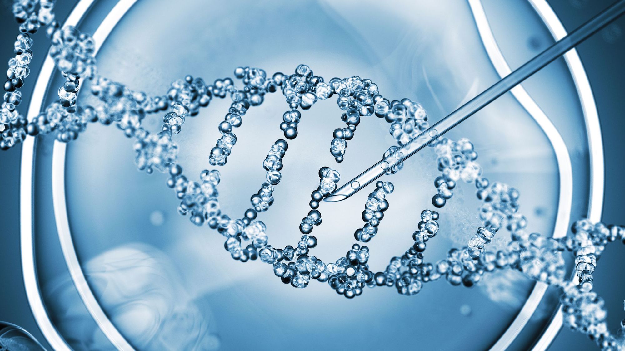 Who Should Get A Genetic Carrier Screening For Genetic Health Conditions?