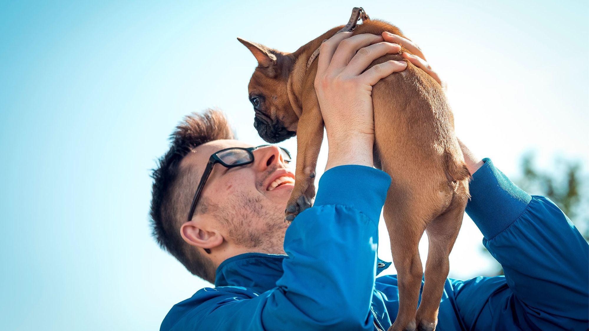 8 Dogs With Good Personalities and Intelligence