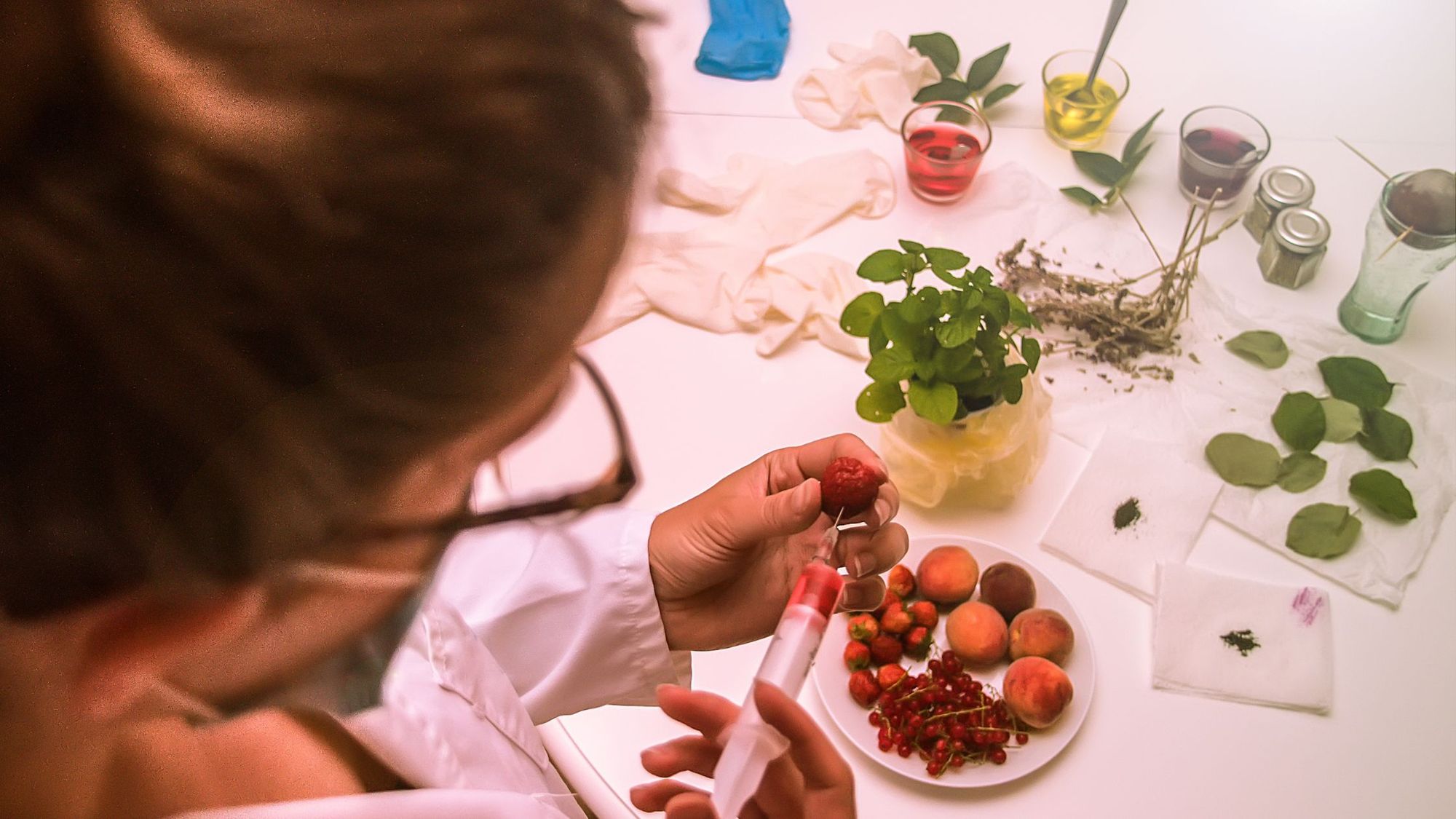 GMO VS Non GMO Foods: Is GMO Really Bad For You?