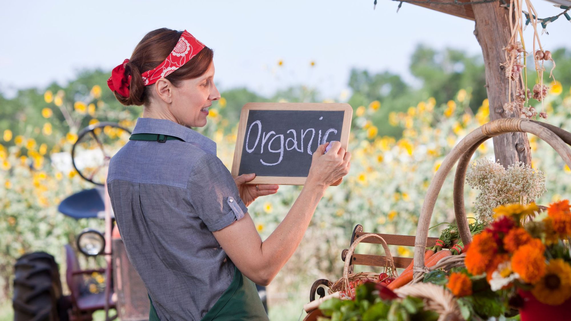Are Organic Foods Healthier? Pros and Cons of Eating Organic