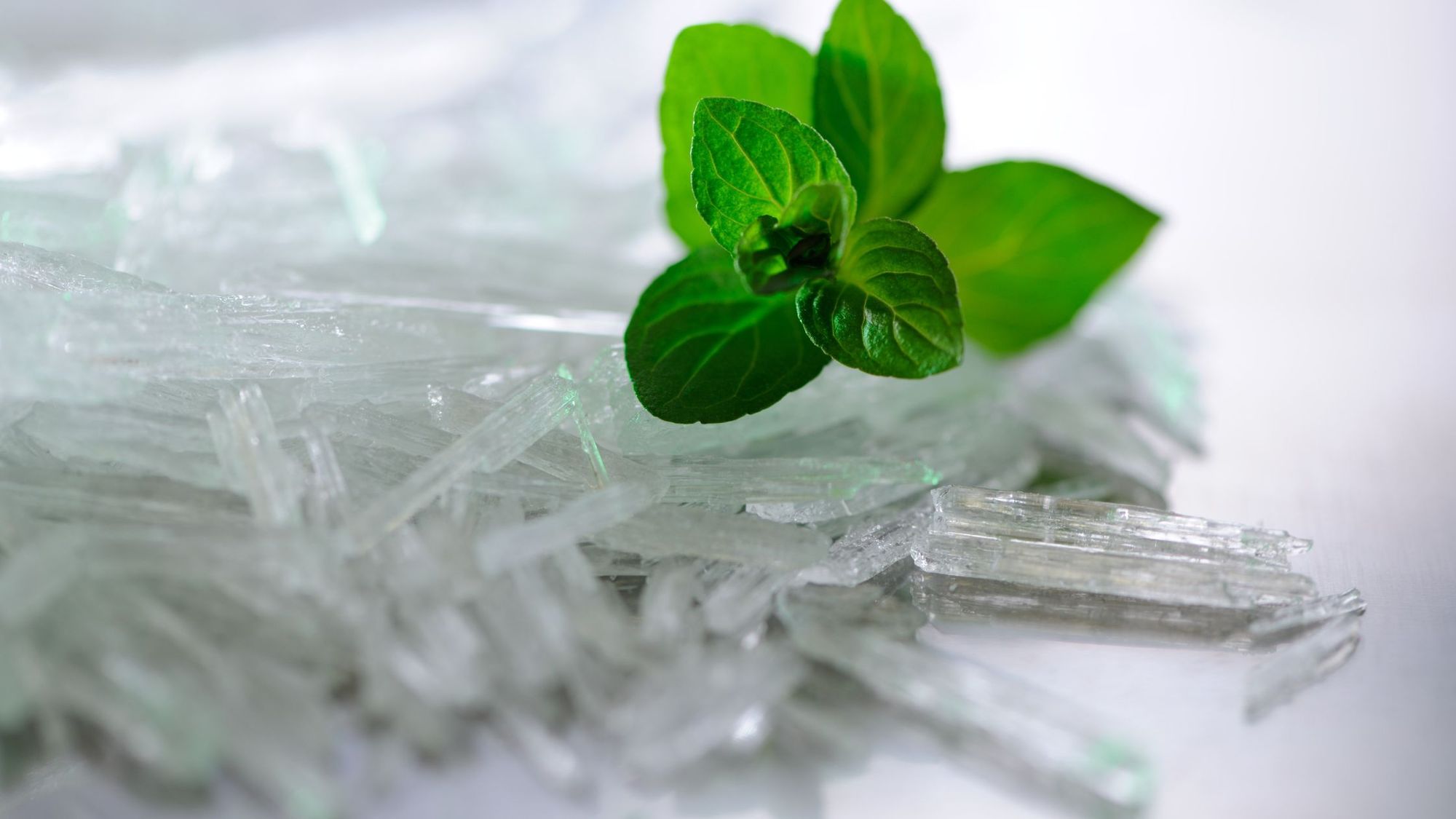 Why Menthol Works For Natural Pain Relief