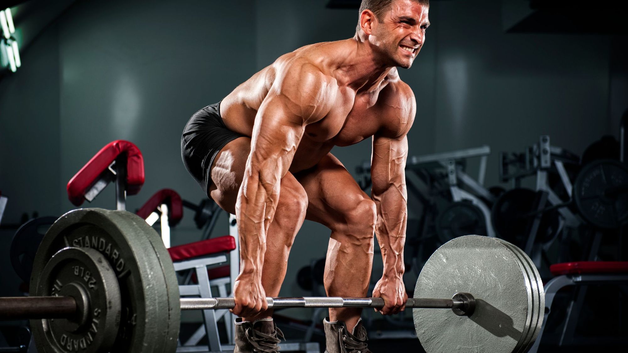 5 Reasons To Start Lifting: Benefits of Weightlifting and Putting on Muscle