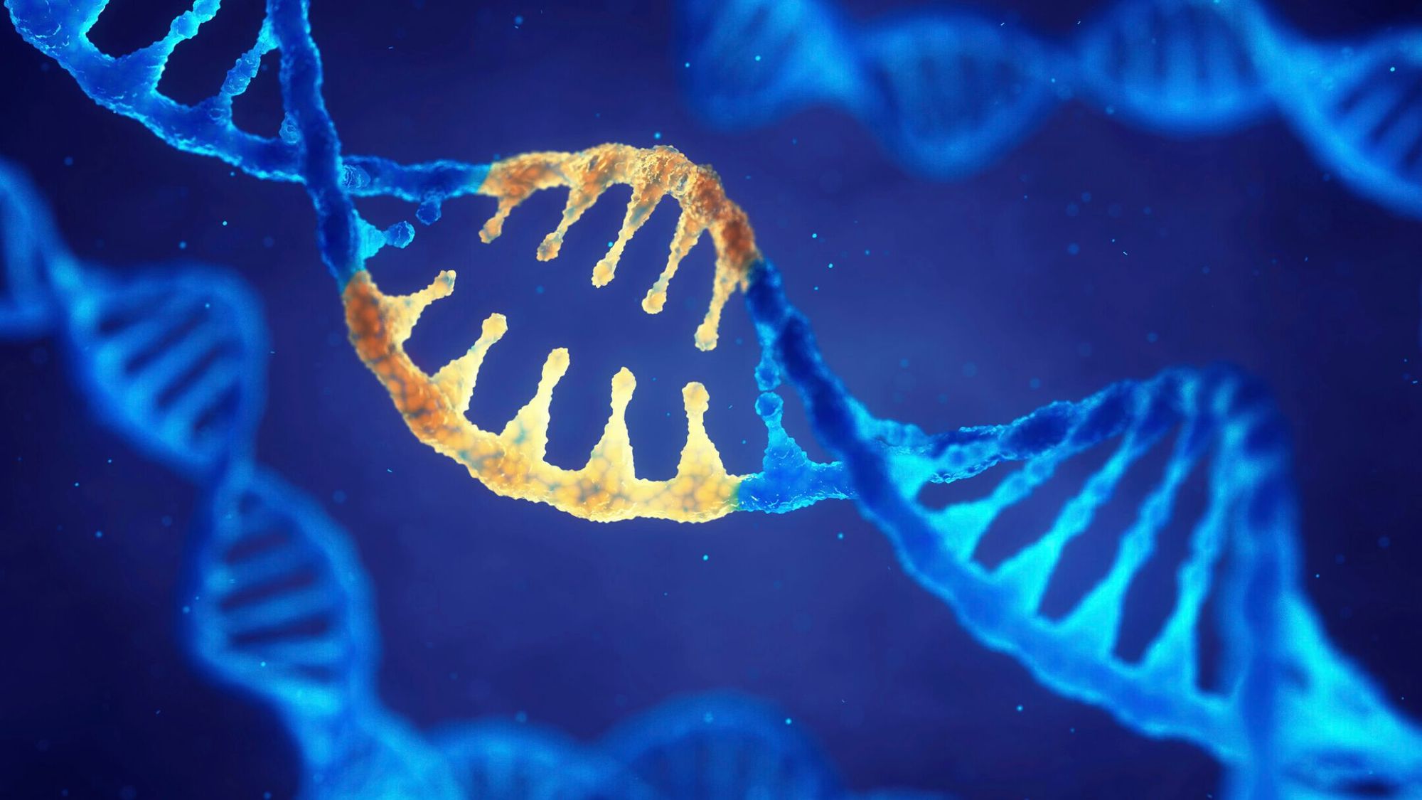 Is Personality Genetic? How Much of Your Personality is Down to Genetics?
