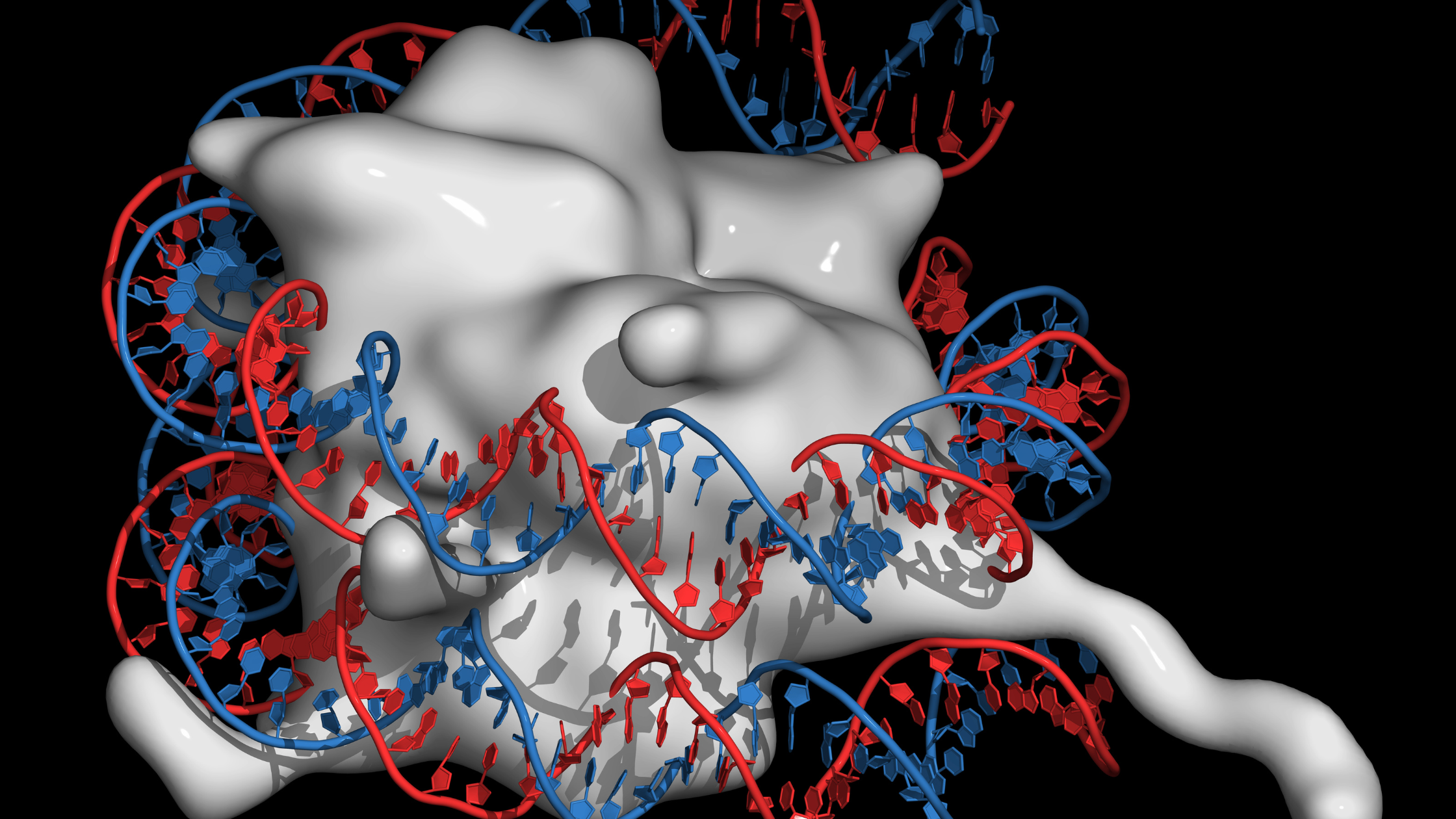 What Are Epigenetics? An Overview