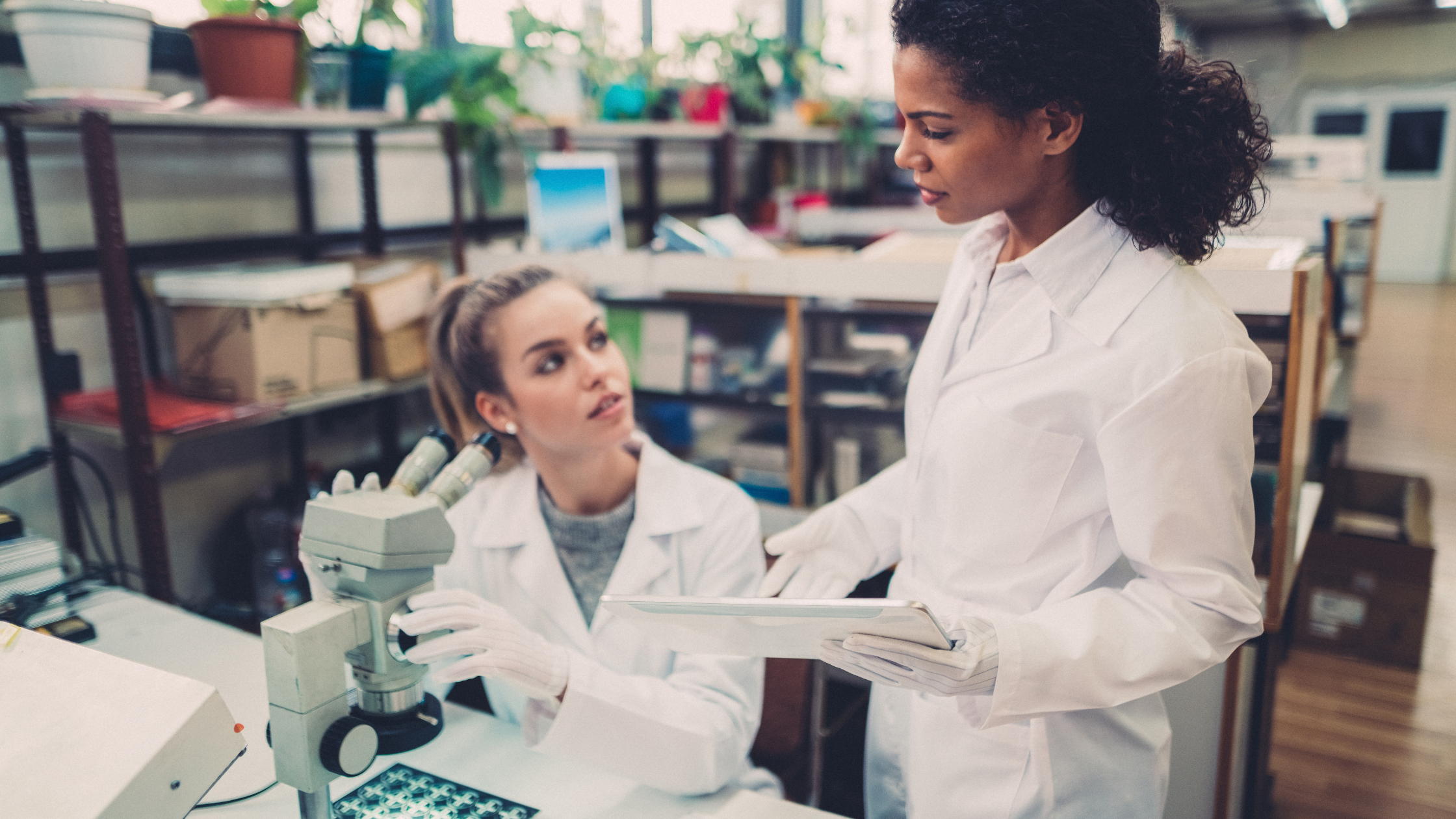 Women Breaking Barriers: Celebrating 9 Women in STEM