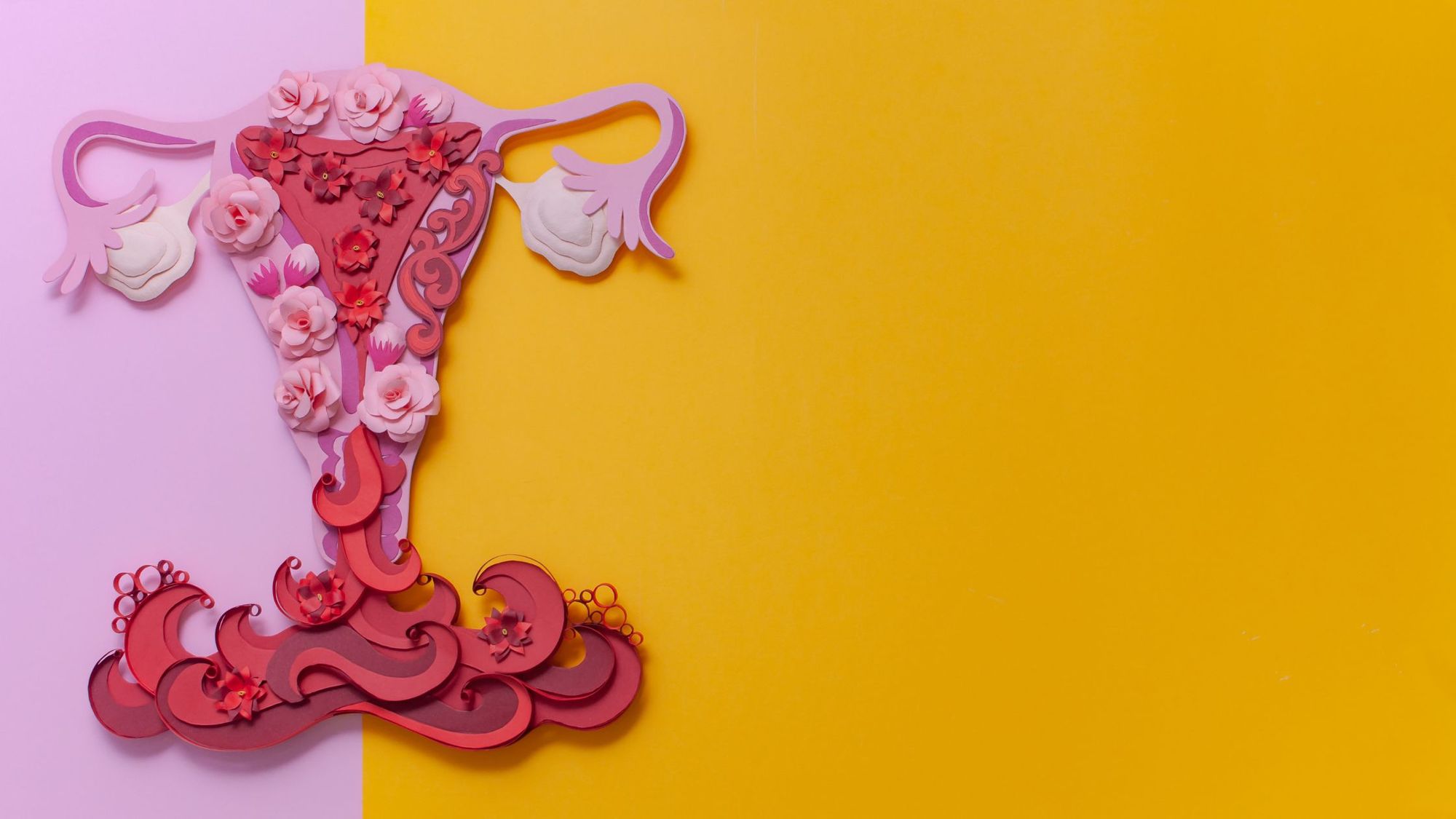 Endometriosis Treatment: Has The Best Way To Fight Endometriosis Been Discovered?