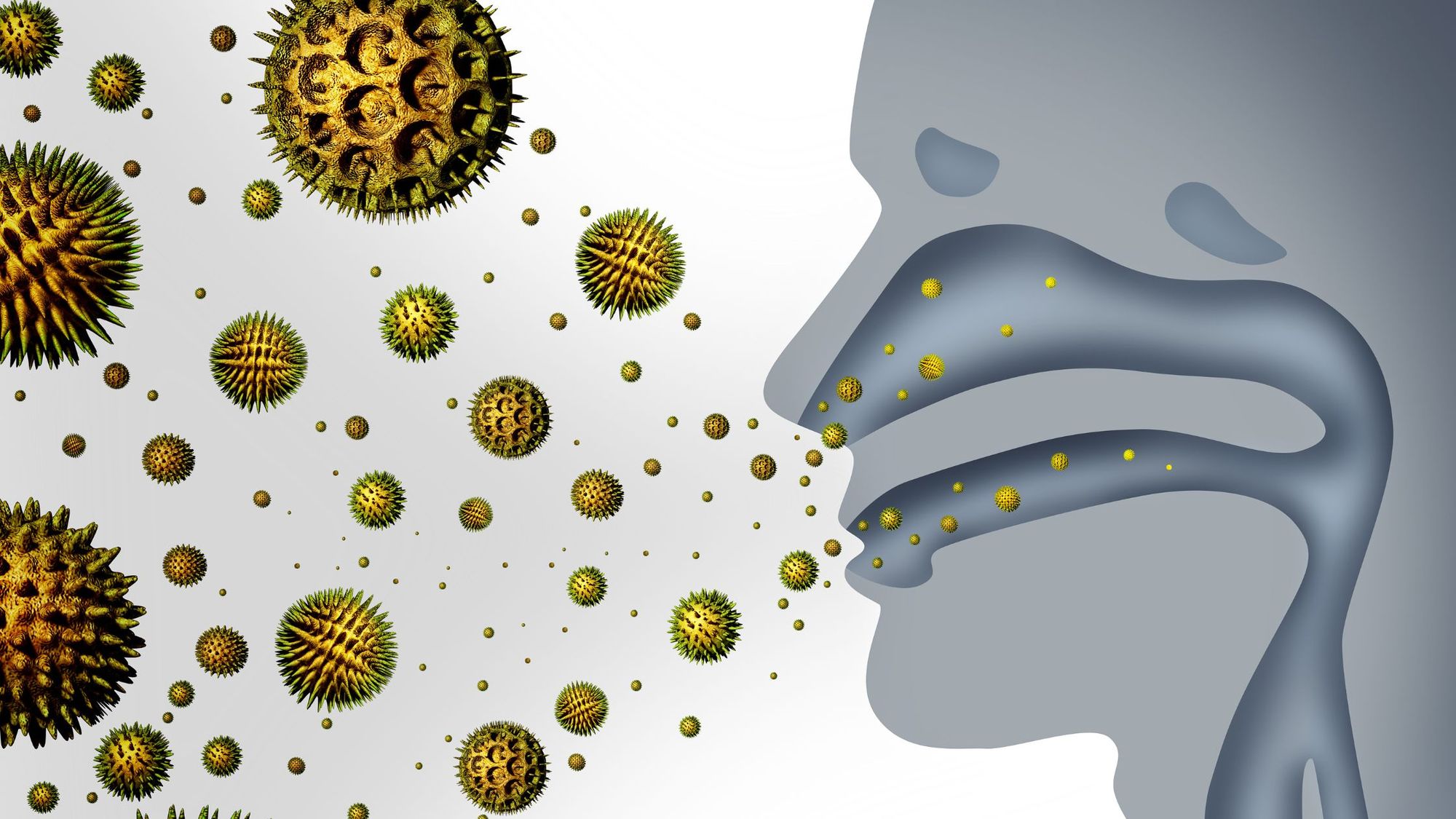 Hay Fever Symptoms, Causes, and Treatment