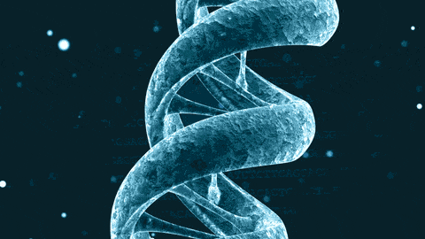 How Does CircleDNA Work? DNA Testing Guide: What is it & How Does it Work?