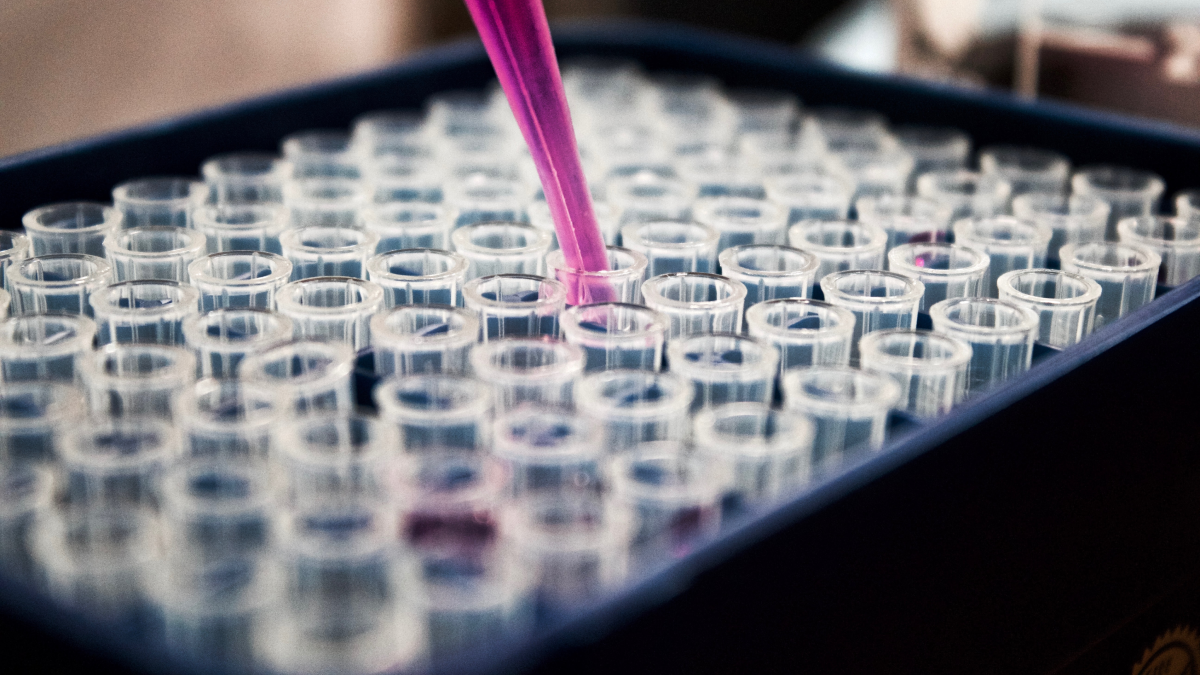 Top 10 Benefits of DNA Testing