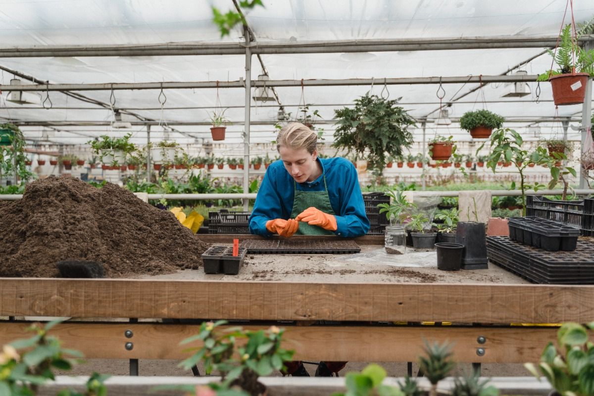 What is Composting And Why Should You Compost At Home?