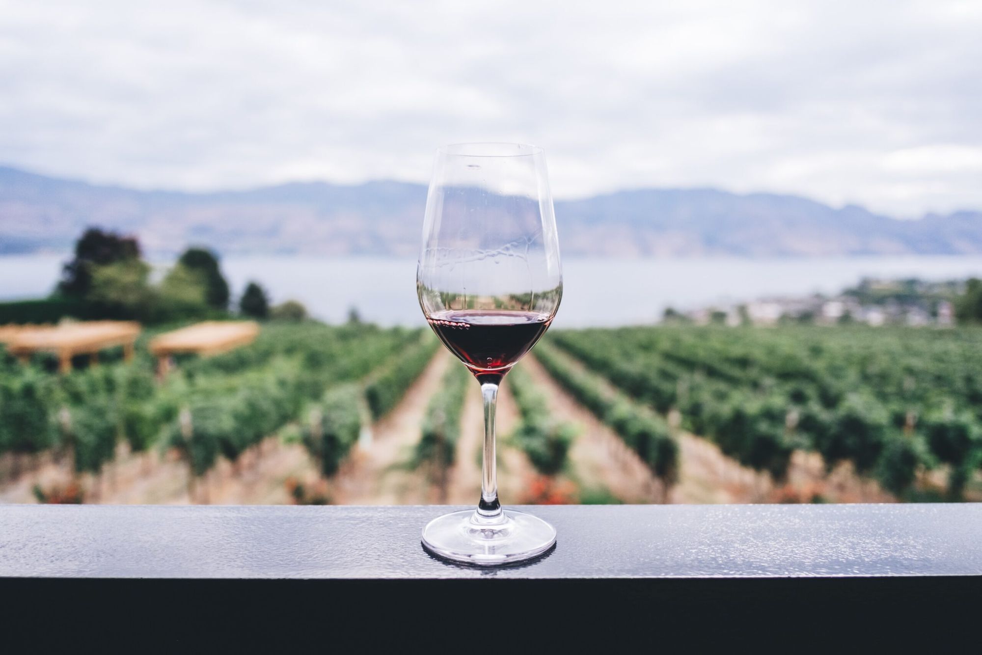 Is Red Wine Good For Your Heart?