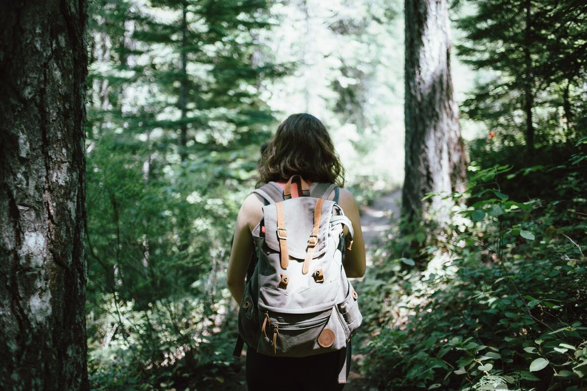 Hiking Snacks: 13 Small Snacks To Bring On A Hike