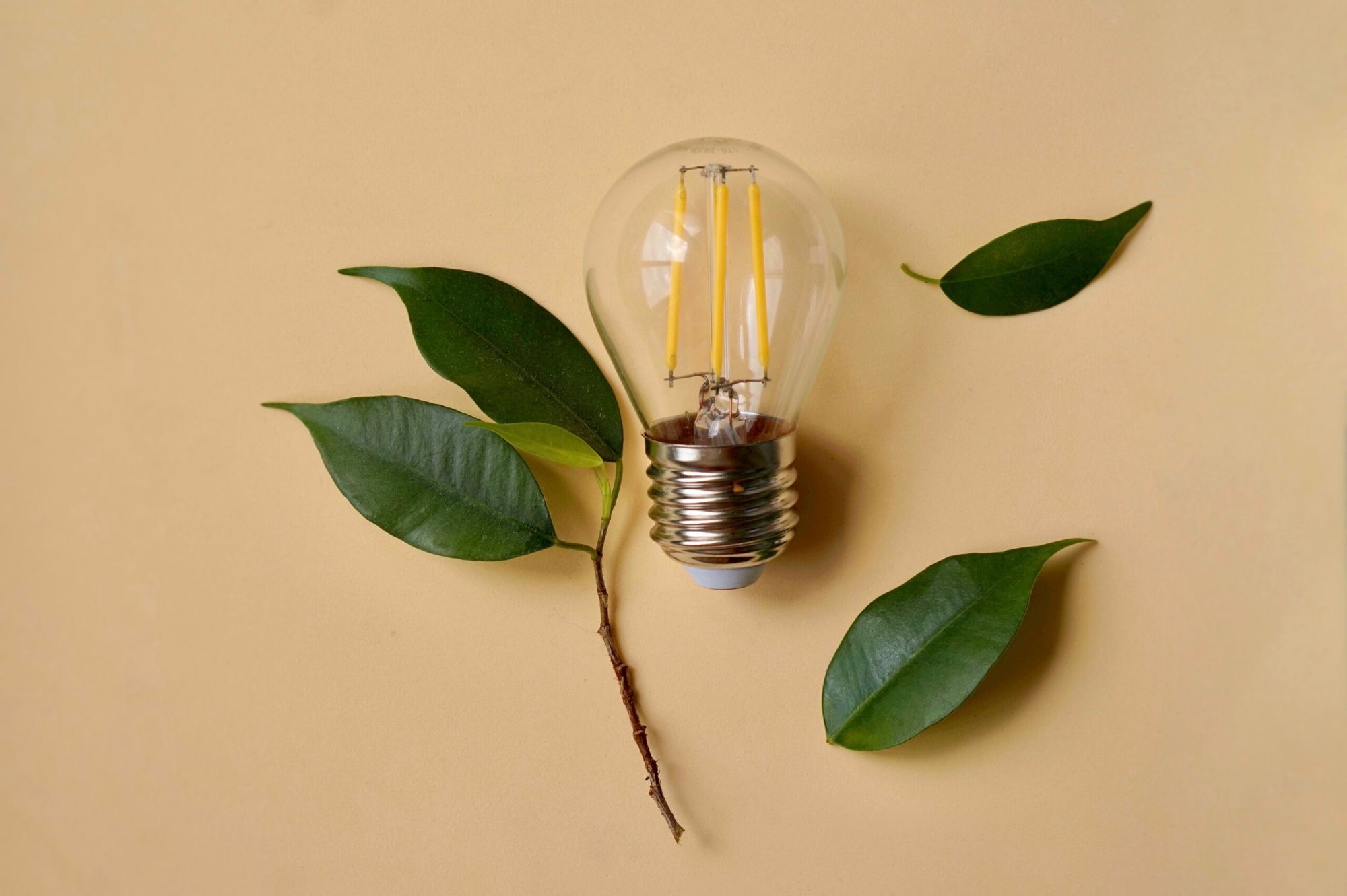 What is Environmentally Friendly Technology?