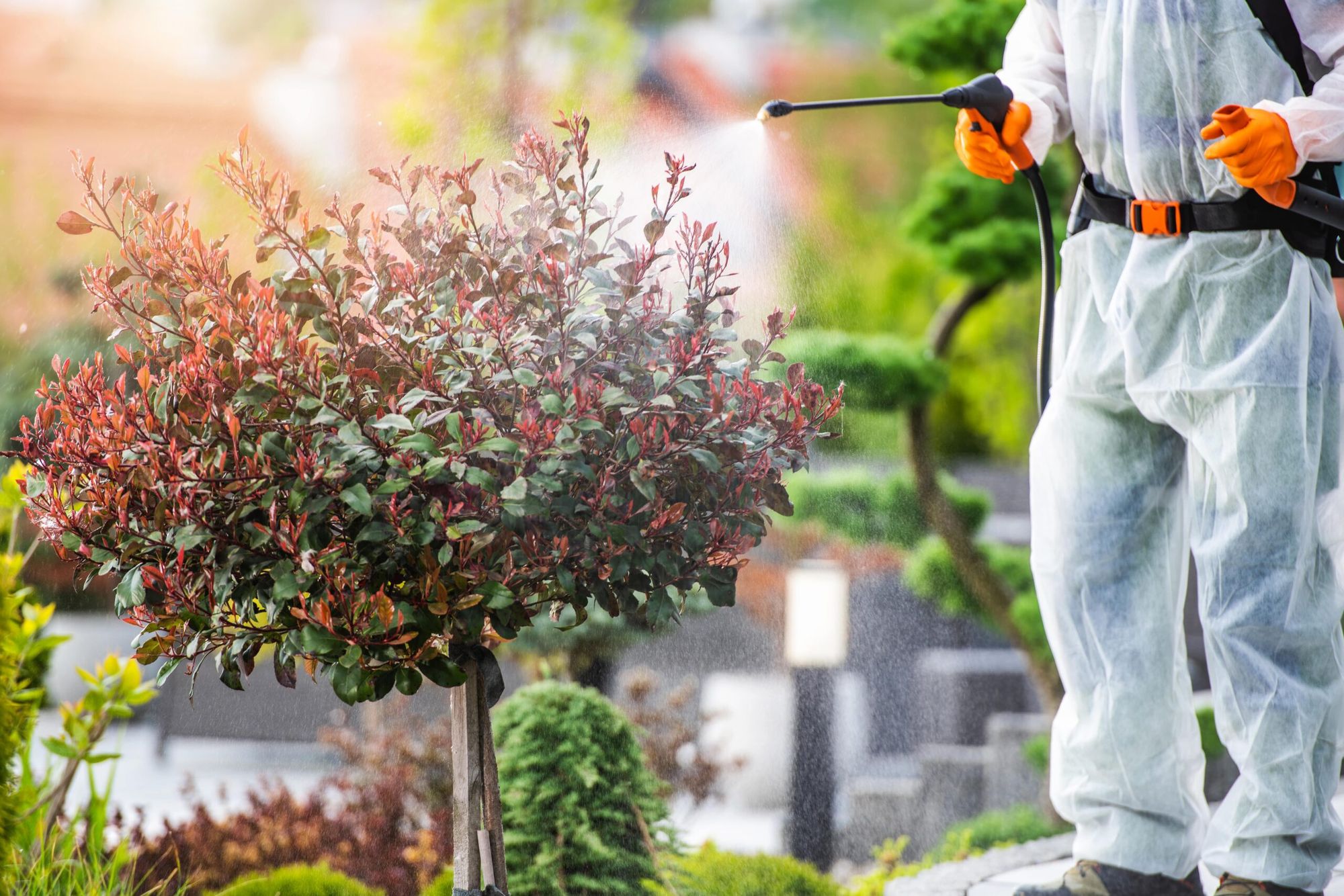 What Are Pesticides and Are They Dangerous?