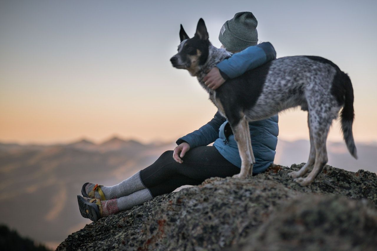 10 Ways Getting A Dog Will Change Your Life