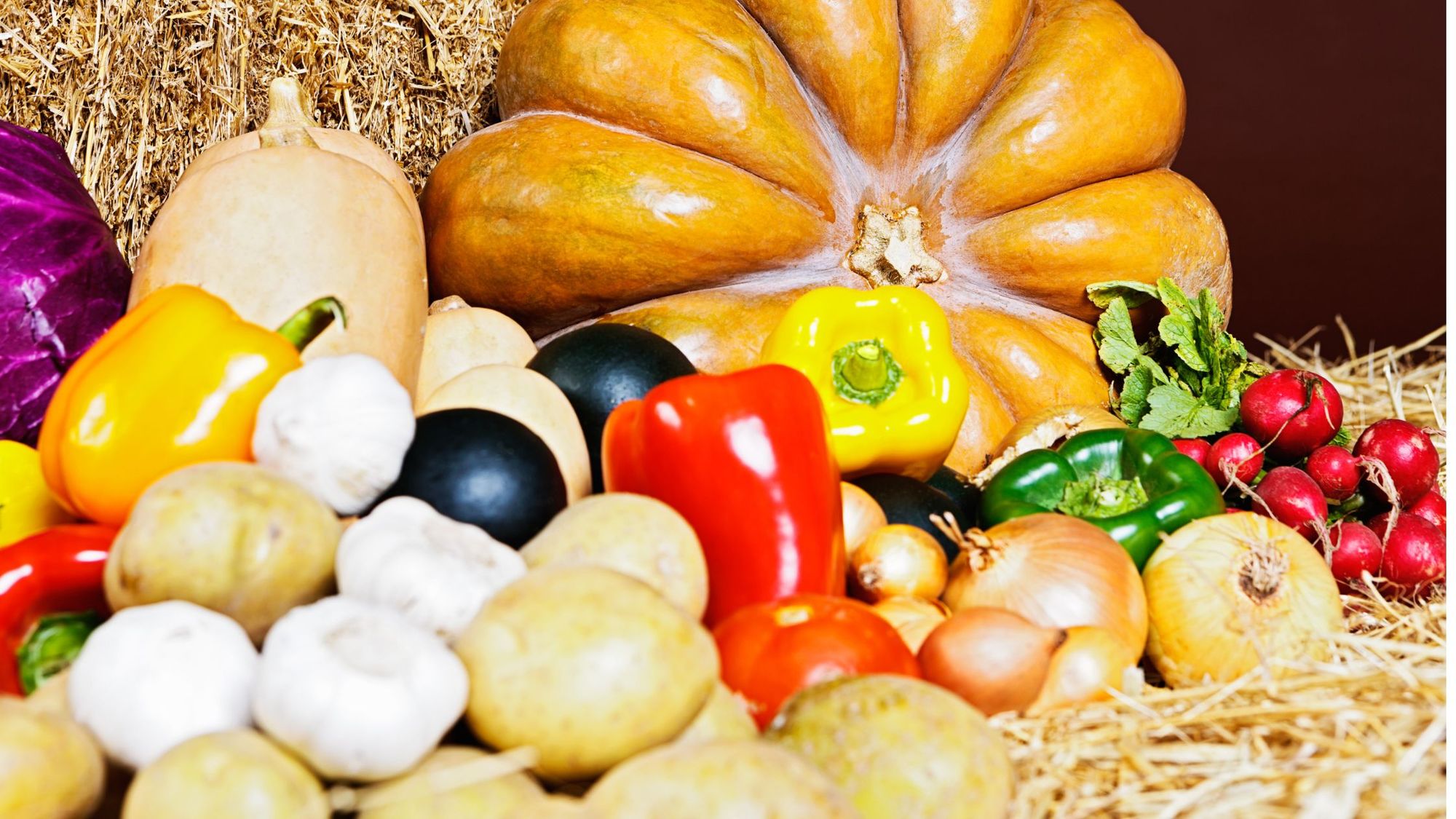 Fall Produce Meal Ideas Using Seasonal Produce