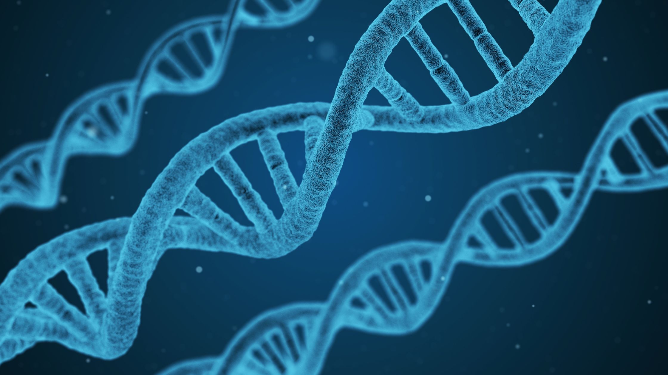 How to Identify Genetic Disorders With At-Home DNA Testing