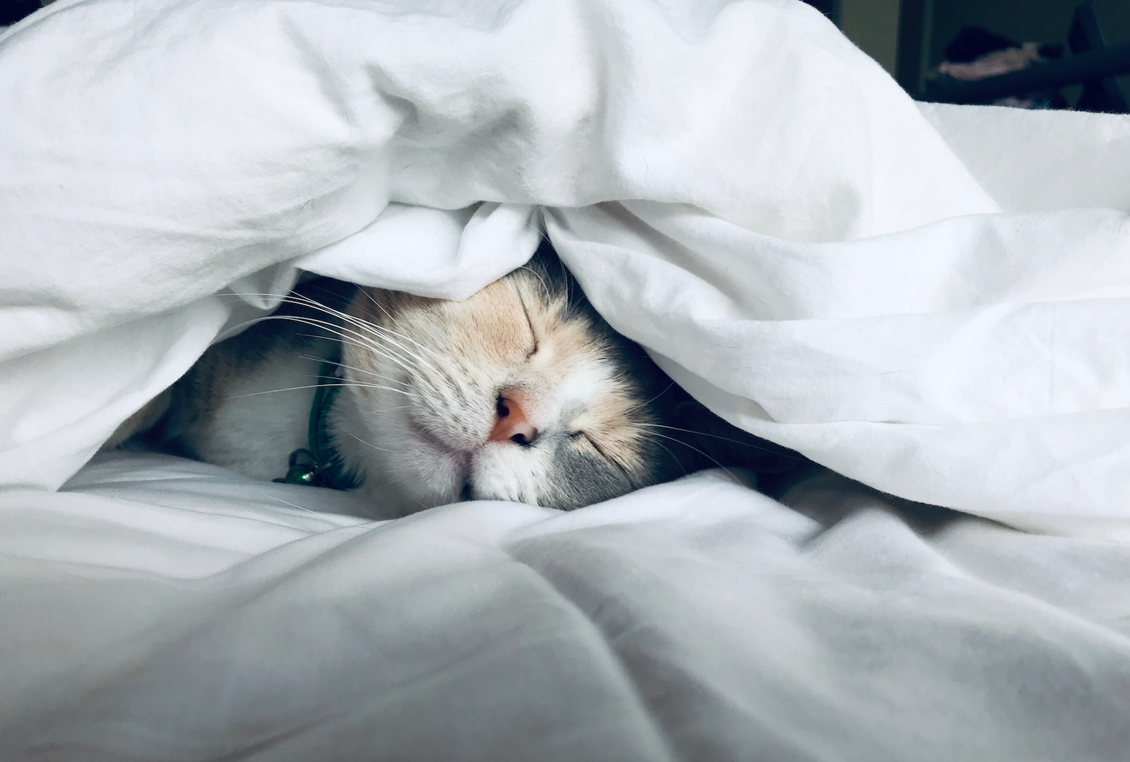 Sleep Syncing: A Comprehensive Guide