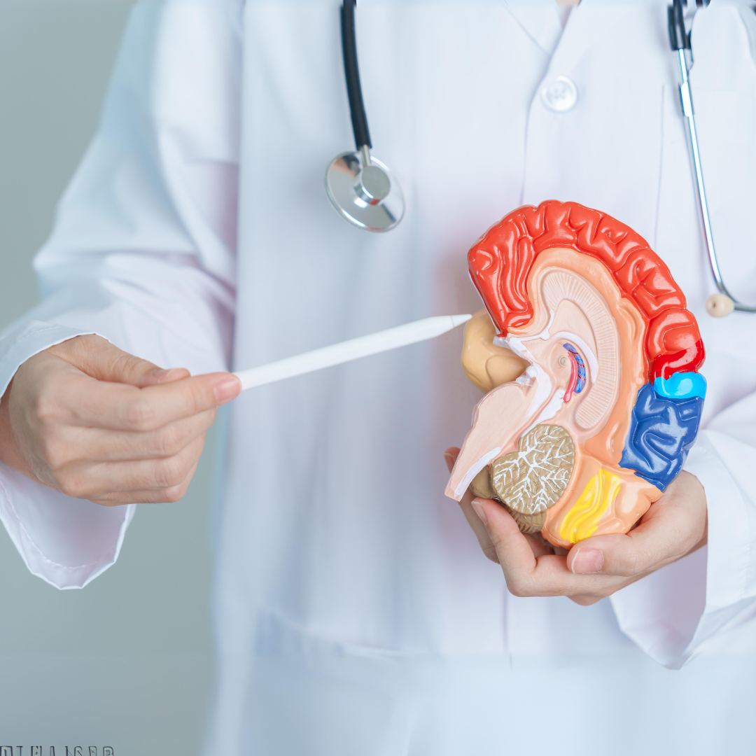 Celebrating World Brain Health Day: Essential Tips to Enhance Your Brain Function