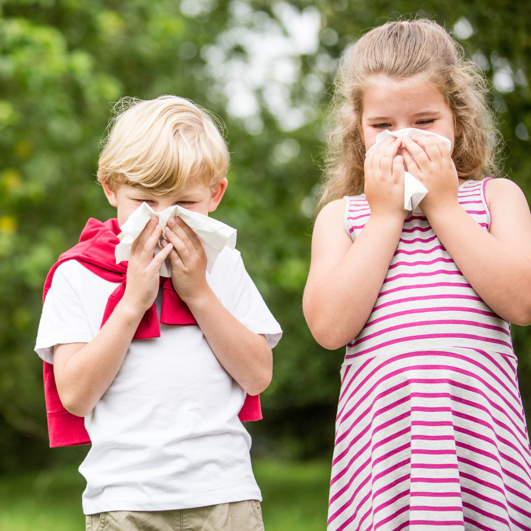Autumn Allergies: Understanding and Managing Seasonal Allergens