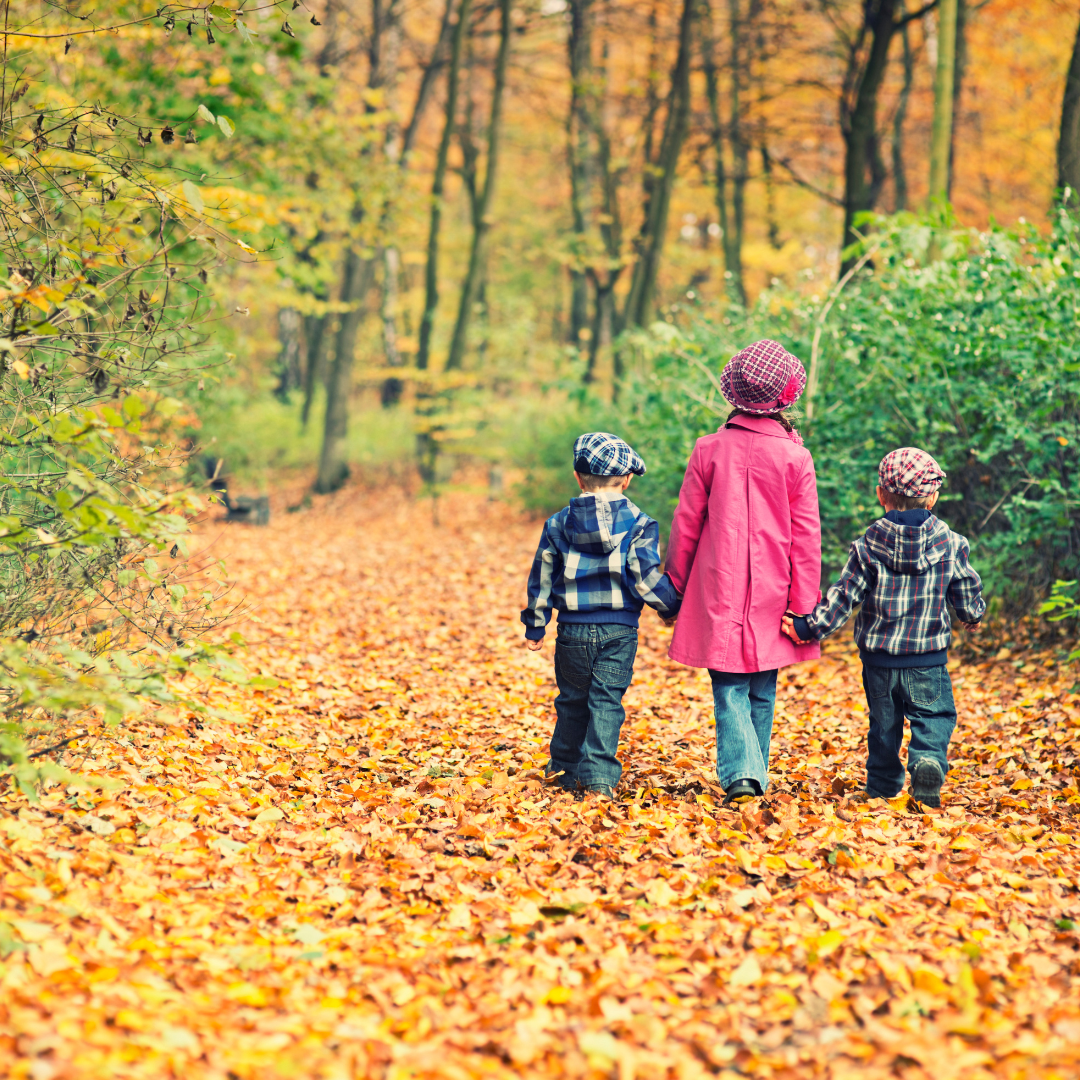 The Benefits of Outdoor Activities in Autumn: Why It's the Best Time to Explore Nature
