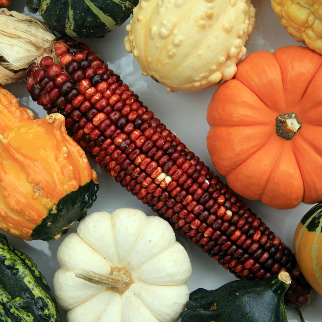 Boosting Your Immune System This Fall: Nutrition Tips for Autumn