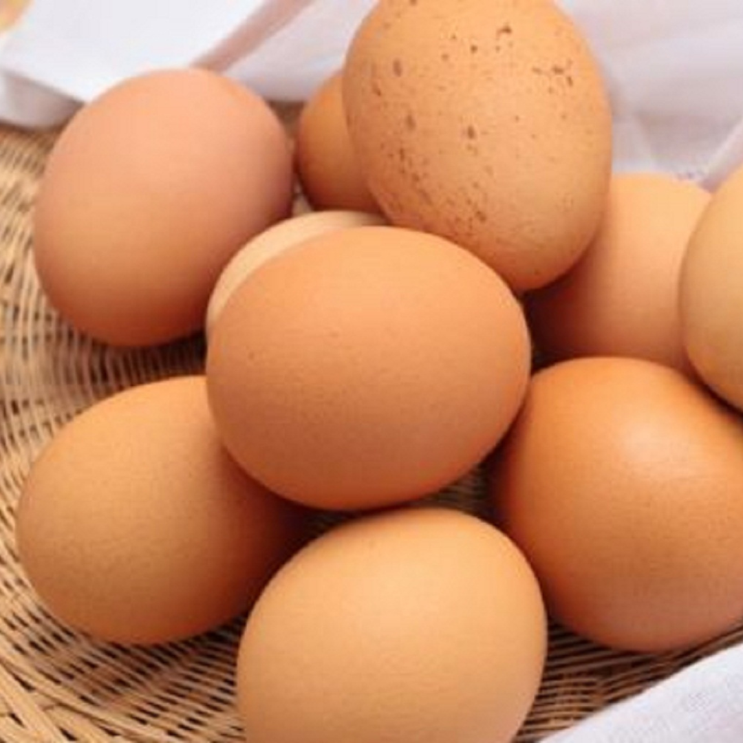 Quick and Easy Egg Breakfast Recipes for Busy Mornings