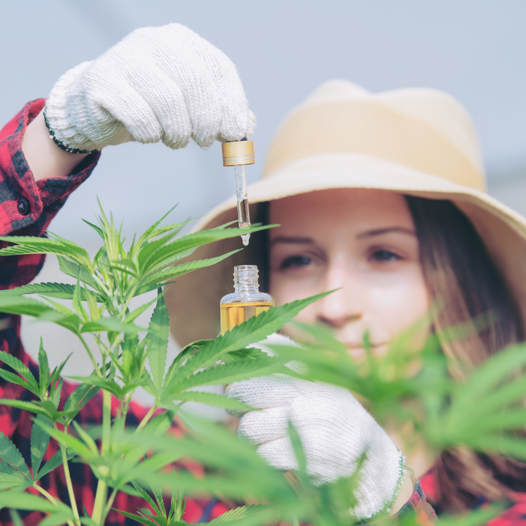 THC and Exercise: What You Need to Know Before Lighting Up Pre-Workout