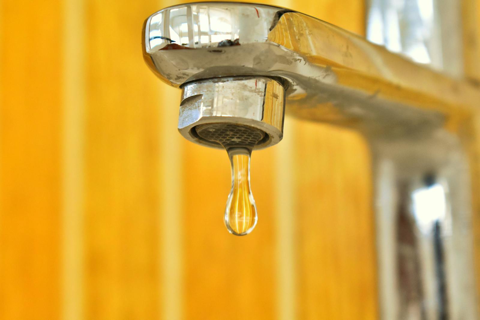 Leaky Gut Syndrome 101: Causes, Symptoms &amp; DNA-Based Risk Factors
